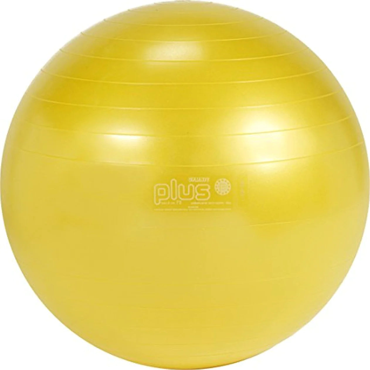 Birth Ball | Yoga Ball