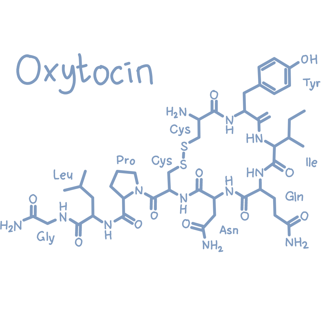 The Role of Oxytocin for Birth